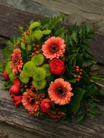 Autumn Flowers