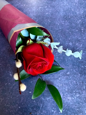 Valentines Single Red Rose